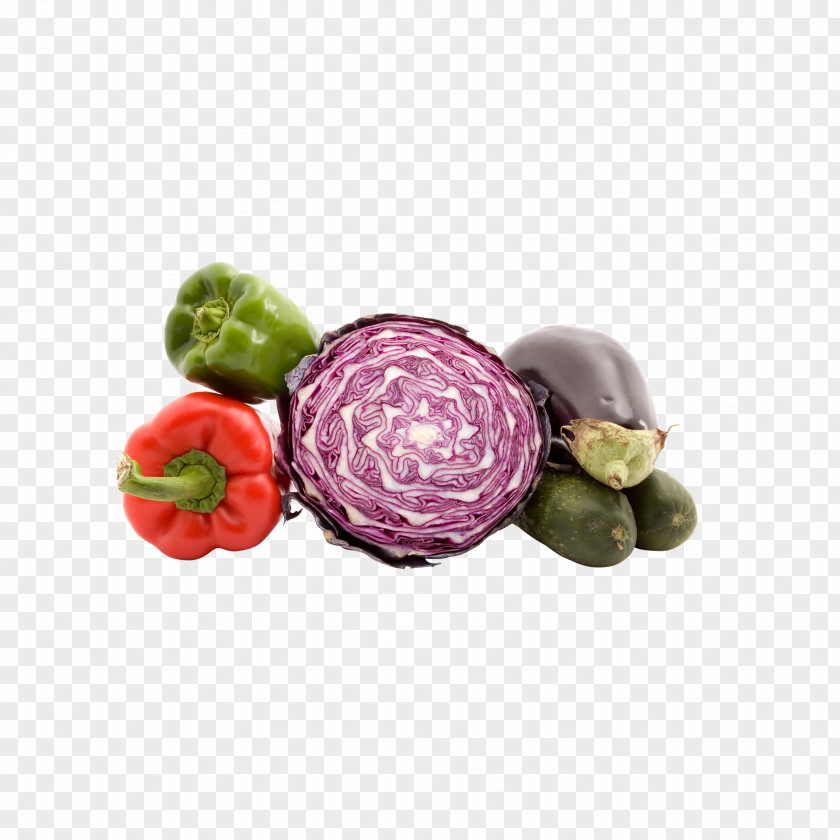 Vegetables Red Cabbage Vegetable Food Ingredient PNG
