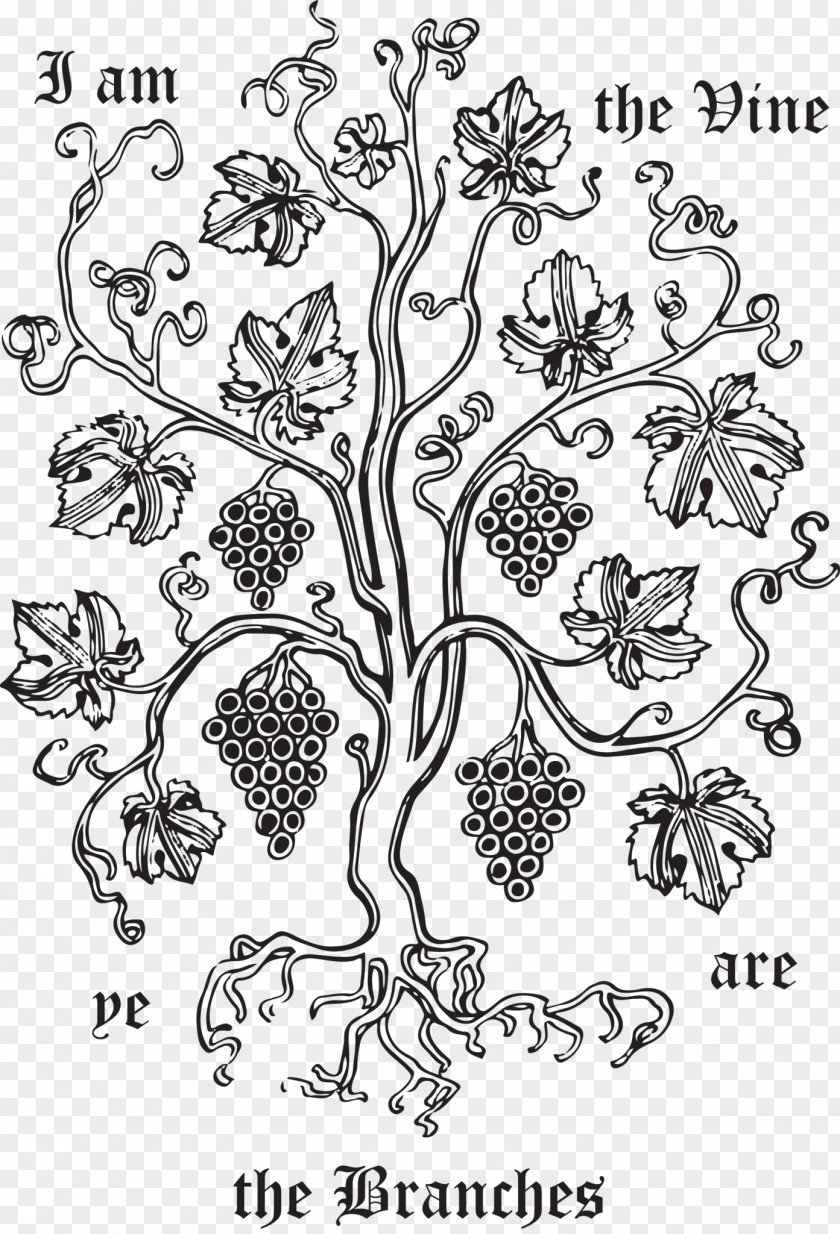 Vine Branches Coloring Book Floral Design Plant Stem Character PNG