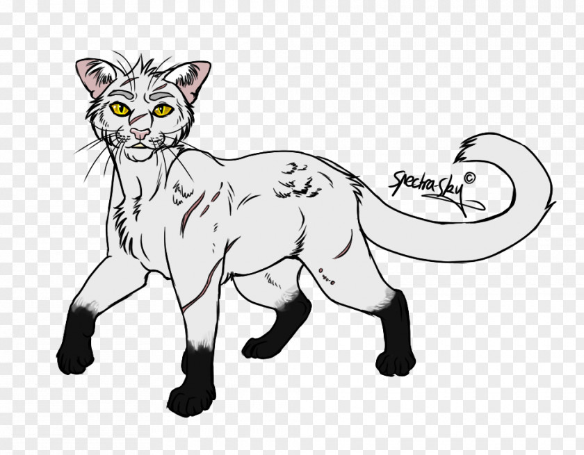 Black Sky Whiskers Wildcat Art Drawing PNG