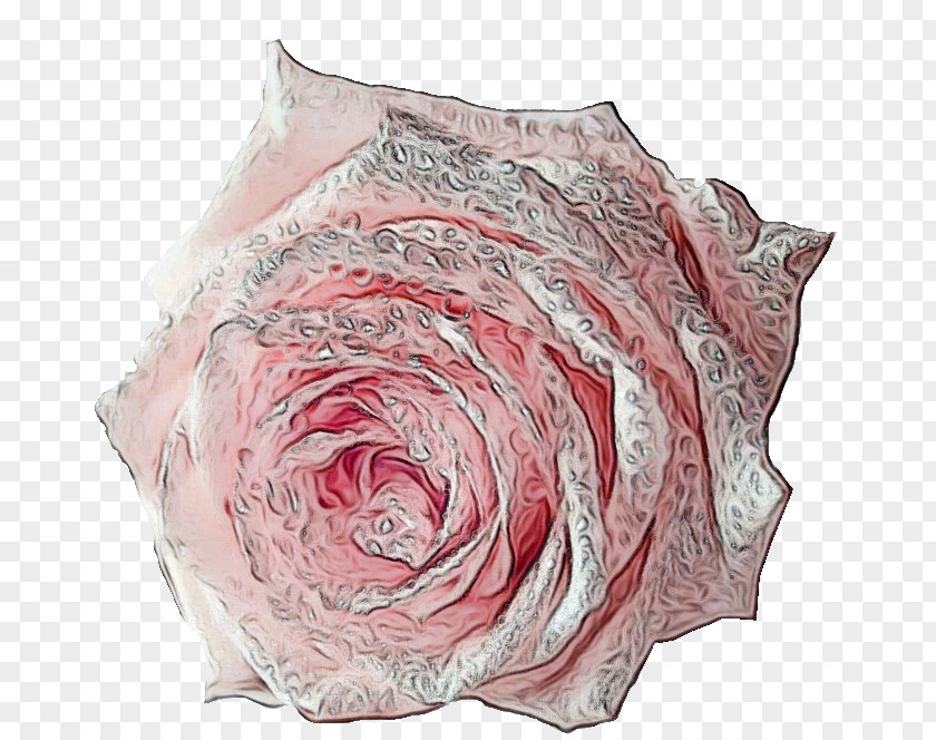 Garden Roses PNG