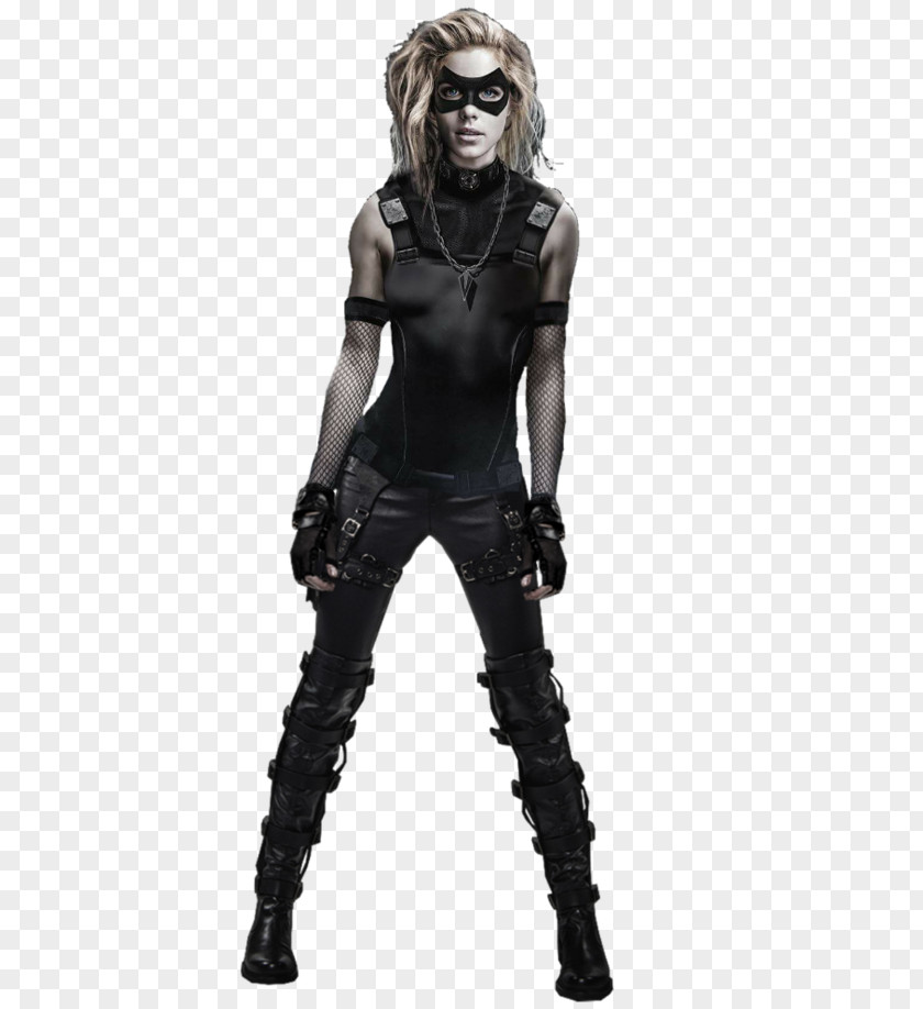 Green Arrow And Black Canary Sara Lance The CW Television Network PNG