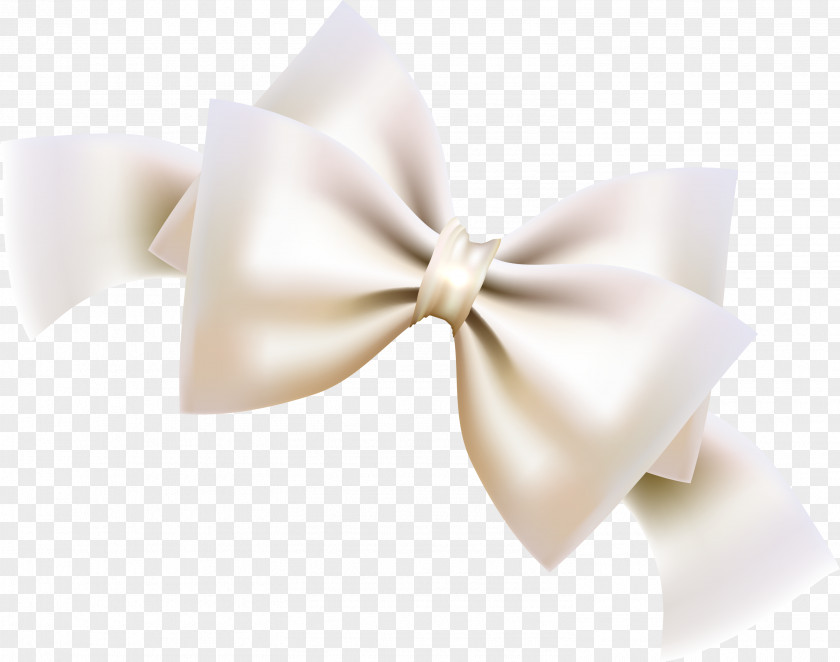 Little Fresh White Bow Tie Ribbon Shoelace Knot PNG