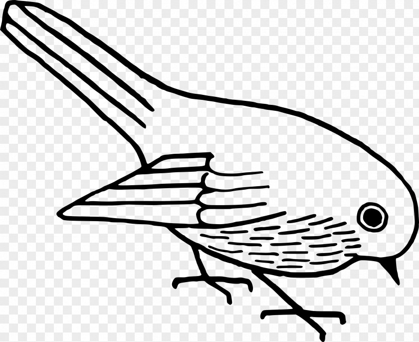 Beehive Bird Drawing Clip Art PNG