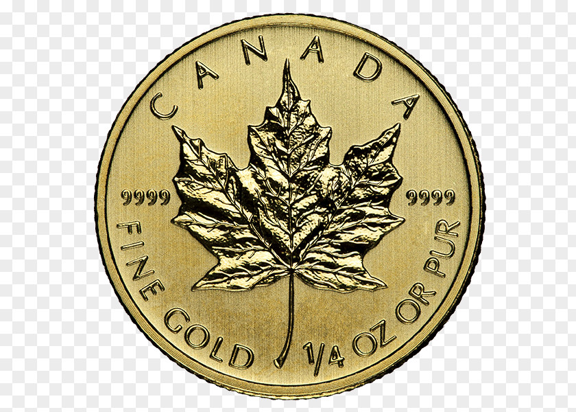 Dates Leaf Canadian Gold Maple Bullion Coin PNG