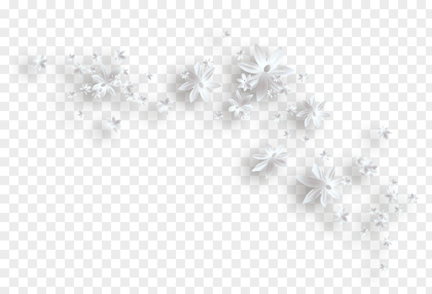 Flower White Clip Art PNG