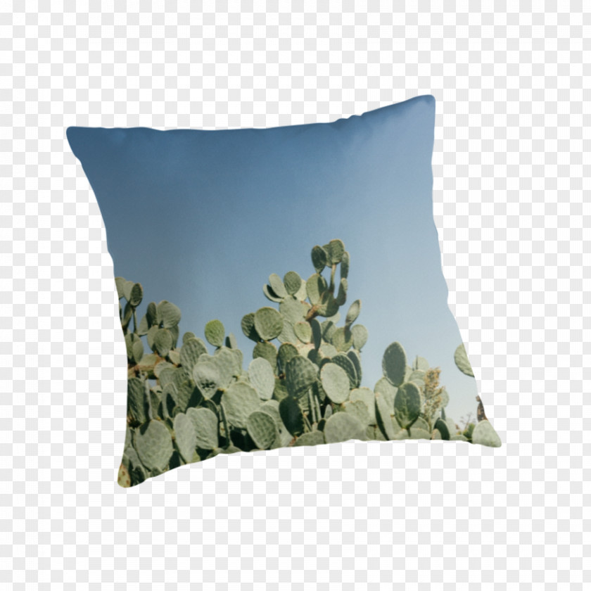 Prickly Pear Throw Pillows Cushion PNG