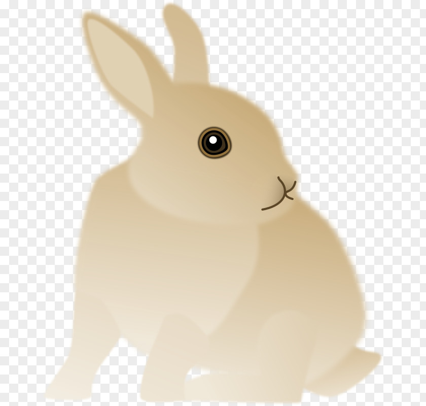Scatters The Rabbit Hare Domestic Easter Bunny Whiskers PNG