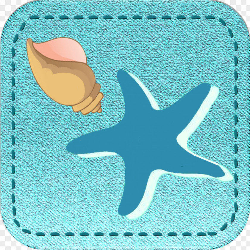 Starfish Illustrator PNG