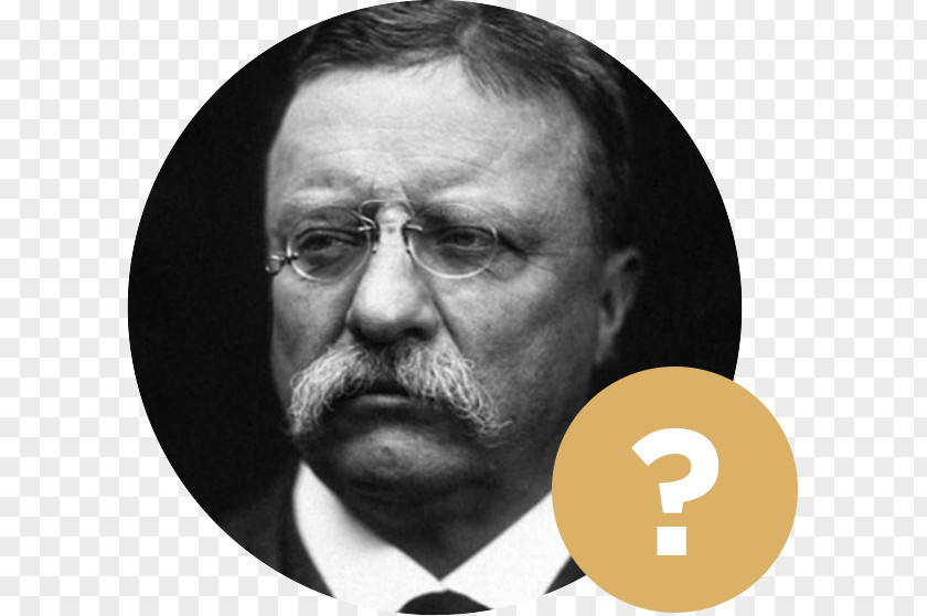 United States Theodore Roosevelt On Leadership: Executive Lessons From The Bully Pulpit Thirteen Books A Vote Is Like Rifle: Its Usefulness Depends Upon Character Of User. PNG