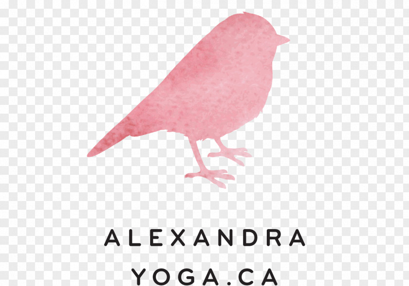 Yoga Alexandra Asana Vinyāsa Añjali Mudrā PNG