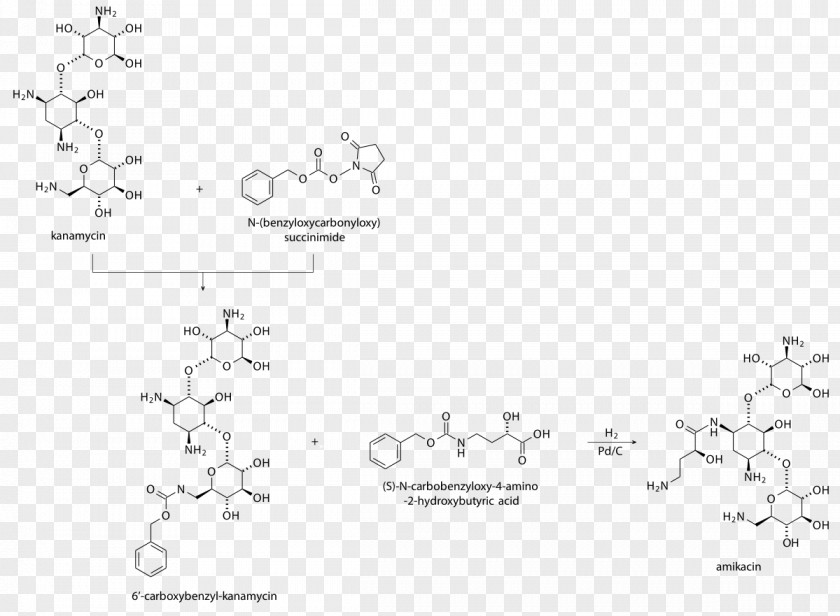 Amikacin Aminoglycoside Kanamycin A Antibiotics Capreomycin PNG