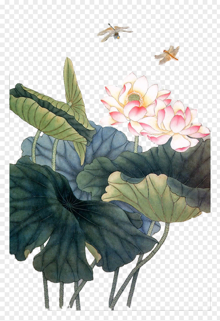 Dragonfly Pond Lotus Painting Ink Wash Drawing Painter PNG