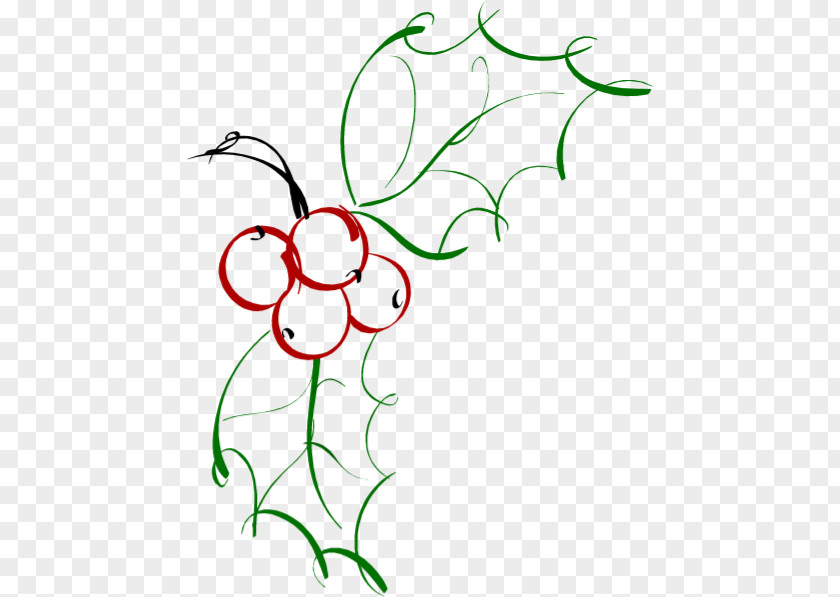Drawing Floral Design Sketch PNG