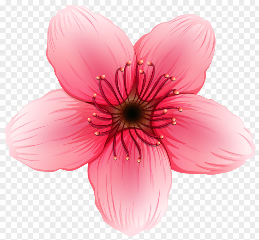 Flower Clipart Image Clip Art PNG
