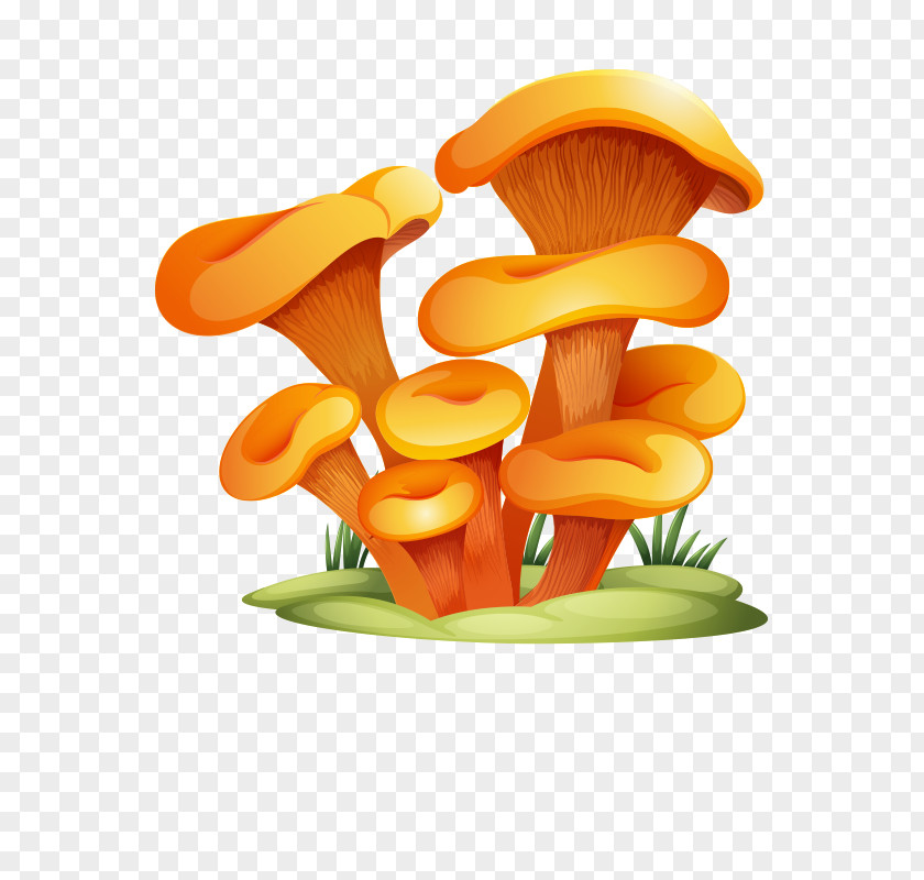 Mushroom,fungus Glomeromycota Mushroom Clip Art PNG