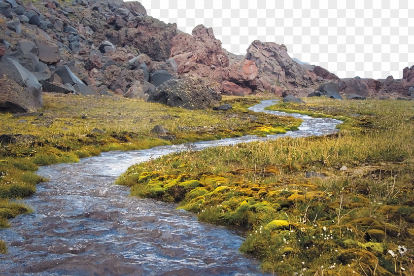 Vegetation Shrubland Water Resources Ecoregion Riparian Zone PNG