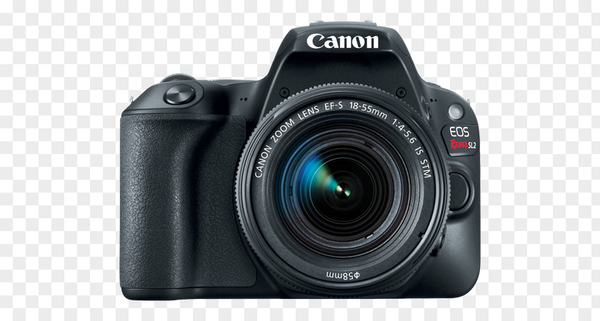 BlackEF-S 18-55mm IS STM Lens Canon EF-S 18–55mm Digital SLROthers Eos Rebel SL2 DSLR Camera With + 75-300mm Dual Zoom Kit Pro Bundle EOS 24.2 MP SLR PNG