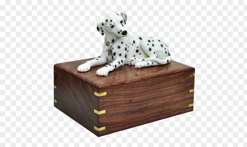 Dalmatian Dog Breed Companion Non-sporting Group PNG