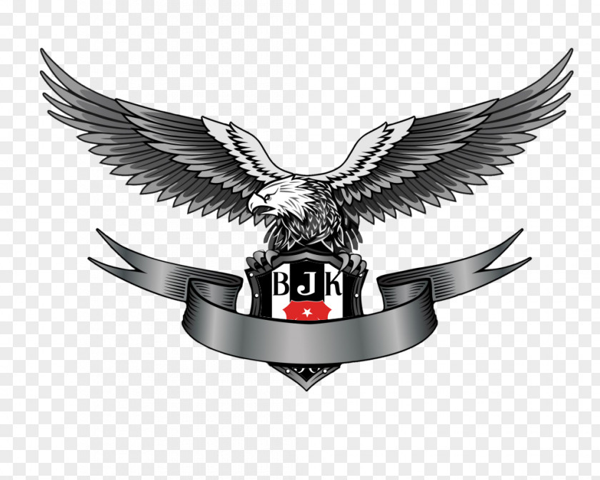 Eagle Clip Art Logo Bald Image PNG