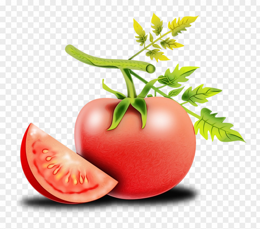 Flowering Plant Food Tomato PNG