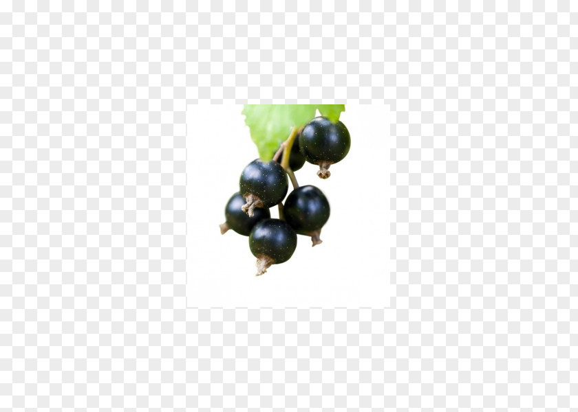 Juice Bilberry Flavor Fruit Liquid PNG
