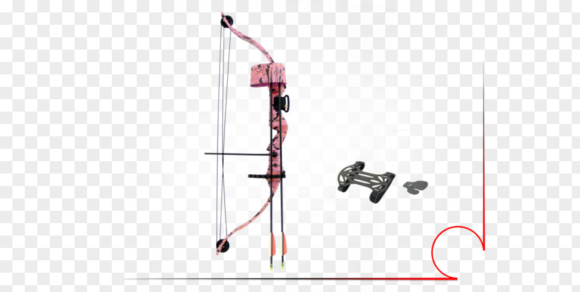 Arrow Compound Bows Bow And Recurve Archery PNG