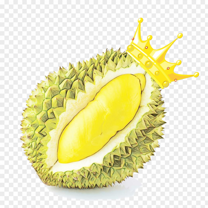 Artocarpus Plant Lemon Cartoon PNG