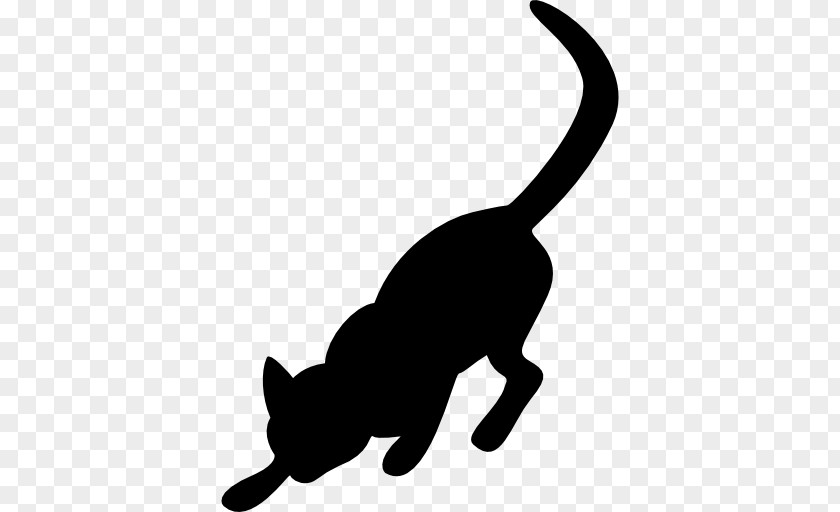 Cat White Small To Medium-sized Cats Tail Black PNG