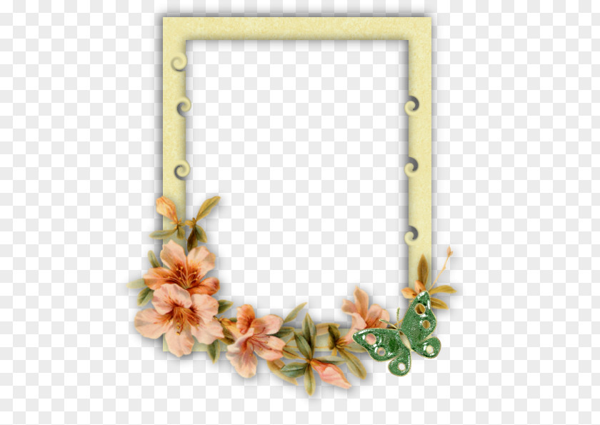 Picture Frames Gift Floral Design PNG