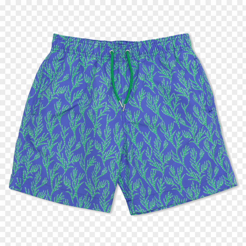 Swimming Shorts Trunks Swim Briefs Swimsuit Underpants PNG