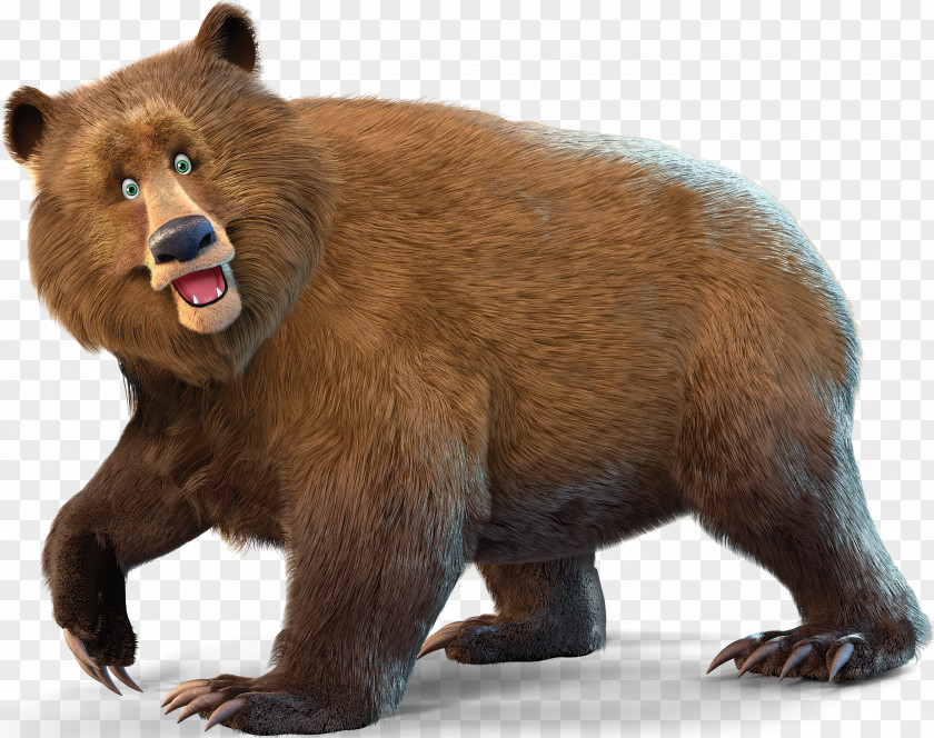 Taiwan Bear Mount Everest Grizzly Animal Clip Art PNG