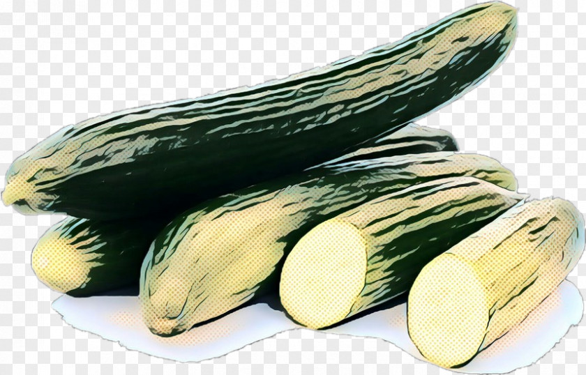 Cucumis Armenian Cucumber Summer Plant PNG