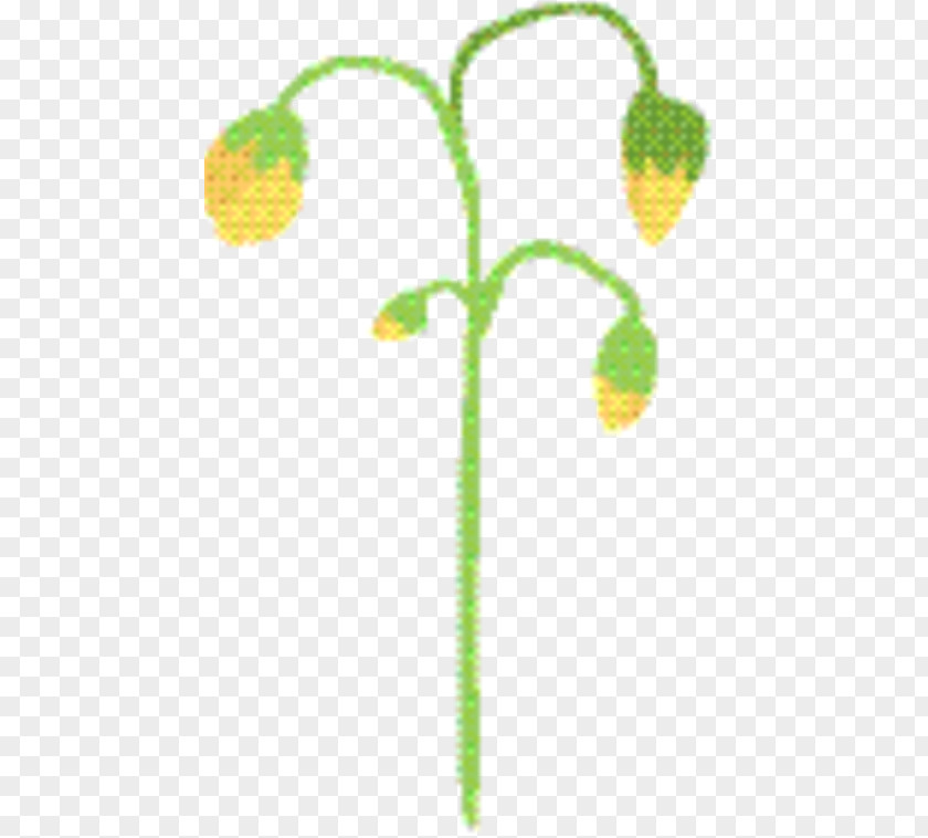 Flower Plant Leaf Branch PNG