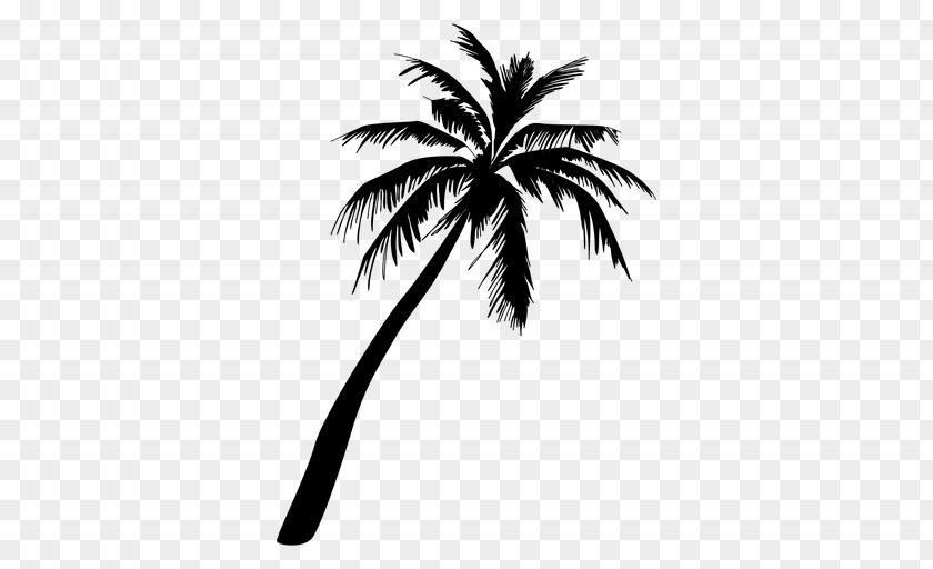 Palm Tree Arecaceae Silhouette PNG