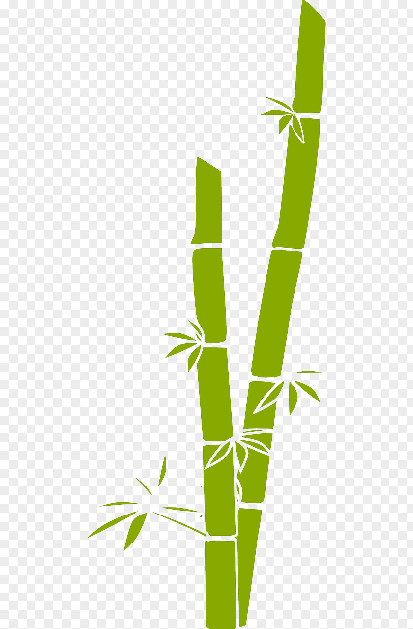 Sugar Cane Bamboo Clip Art PNG