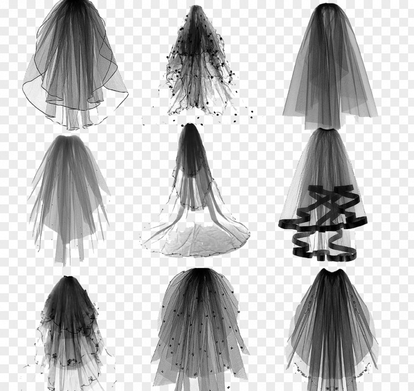 Brush Wedding Veil Bride Contemporary Western Dress PNG
