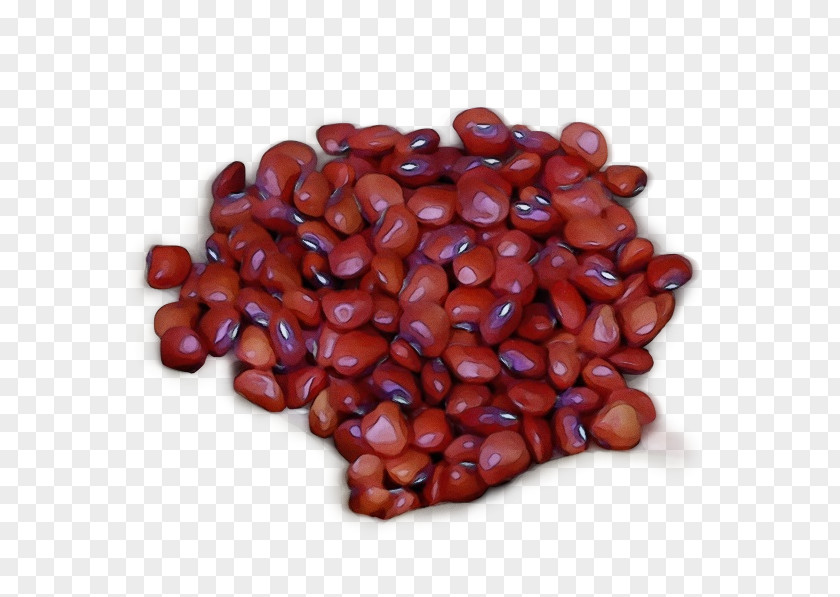Ingredient Kidney Beans Watercolor Plant PNG