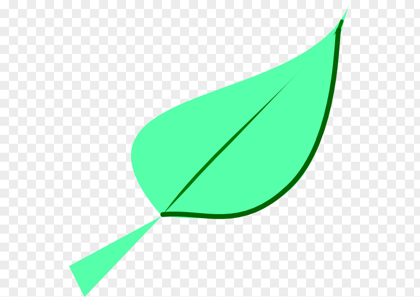 Leaf Product Design Green Graphics Font PNG