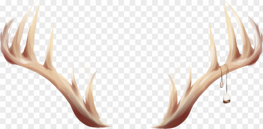 Line Antler H&M PNG