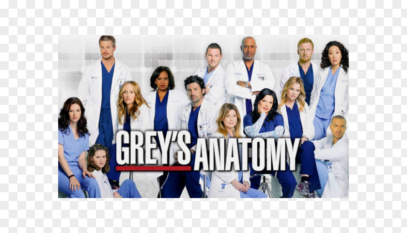 Season 14 Grey's AnatomySeason 11 Television Show 13Greys Anatomy PNG