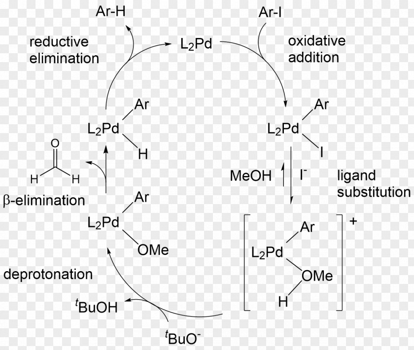 Aryl Halide Chemical Bond Dehalogenation PNG