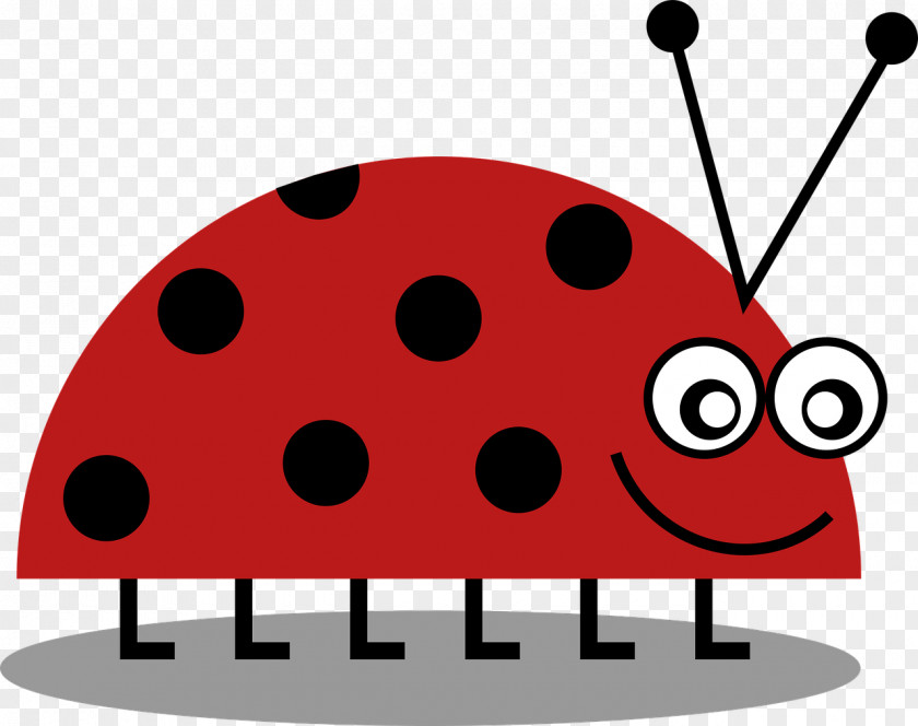 Beetle Ladybird Clip Art PNG