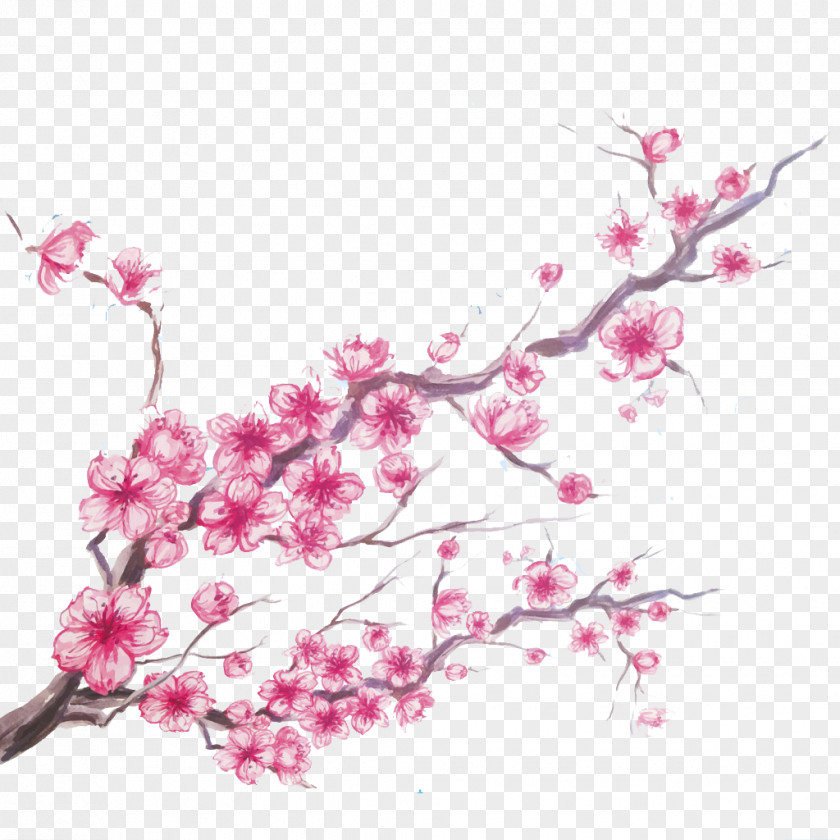 Cartoon Painted Cherry Blossom PNG