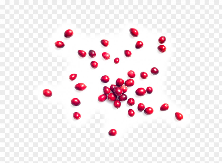 Cranberry Kind Almond Nut Pink Peppercorn PNG