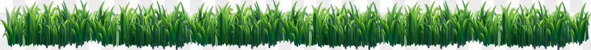 Fresh Spring Grass Green Grasses Hair Coloring PNG