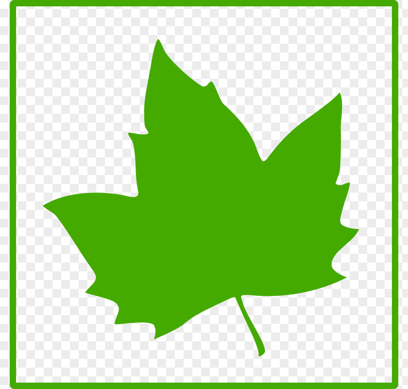 Green Leaf Icon Favicon PNG