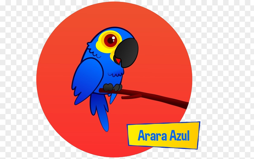 Little Boy Macaw Cobalt Blue Beak Clip Art PNG