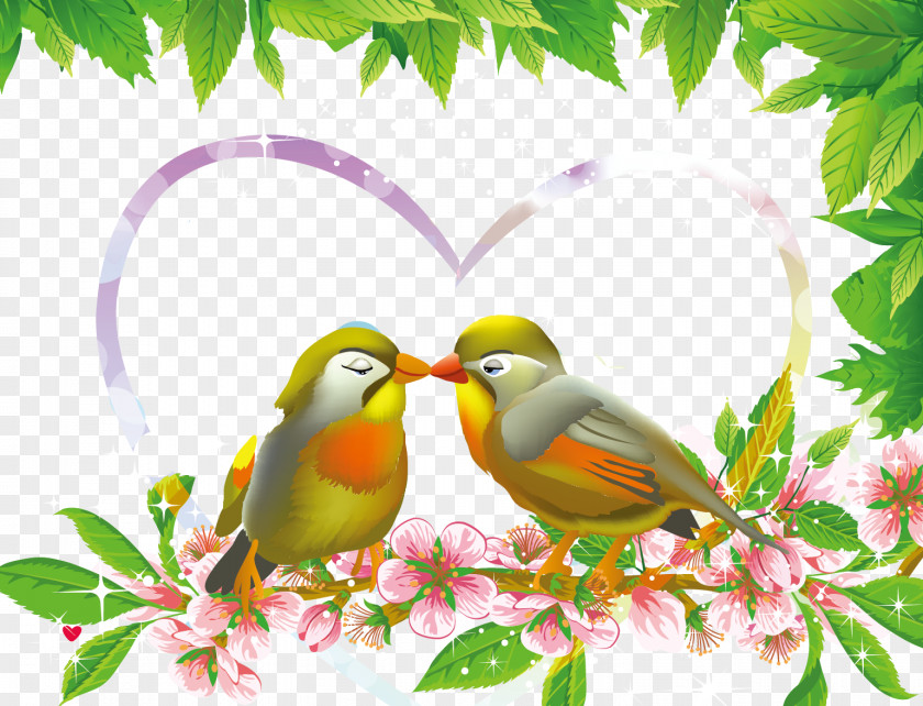 Love Birds Lovebird Euclidean Vector PNG