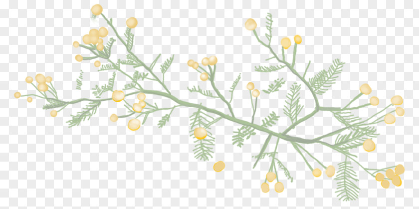 Pastry Flour Pancakes Floral Design Knus Karoo Kombuis Art Sleep PNG