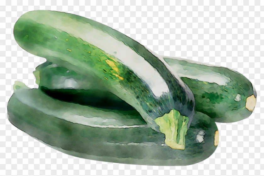 Pickled Cucumber PNG